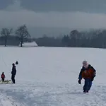 Traunstein By Interhome * Altmünster