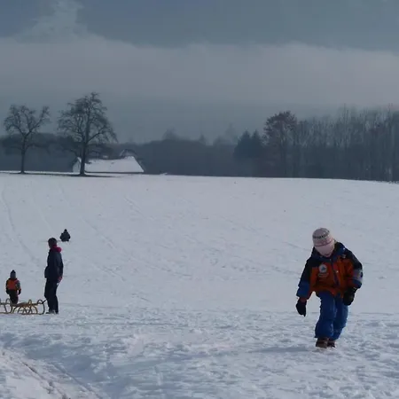 Traunstein By Interhome * Altmünster