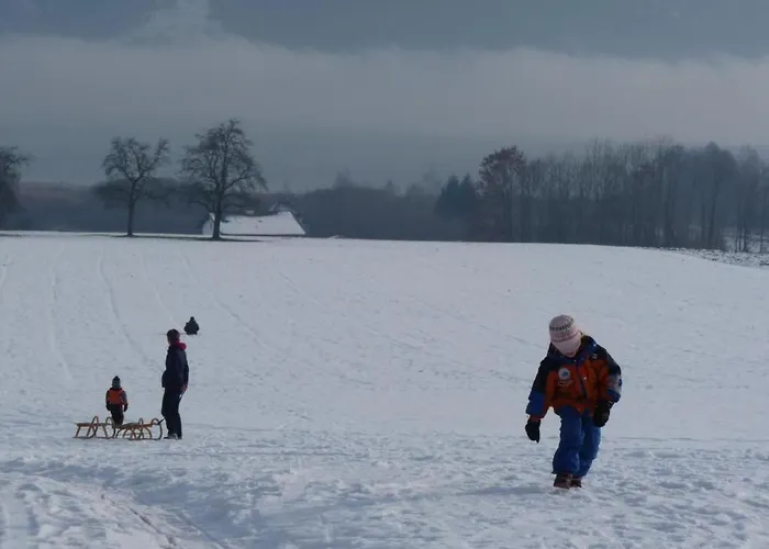 Traunstein By Interhome * Altmünster